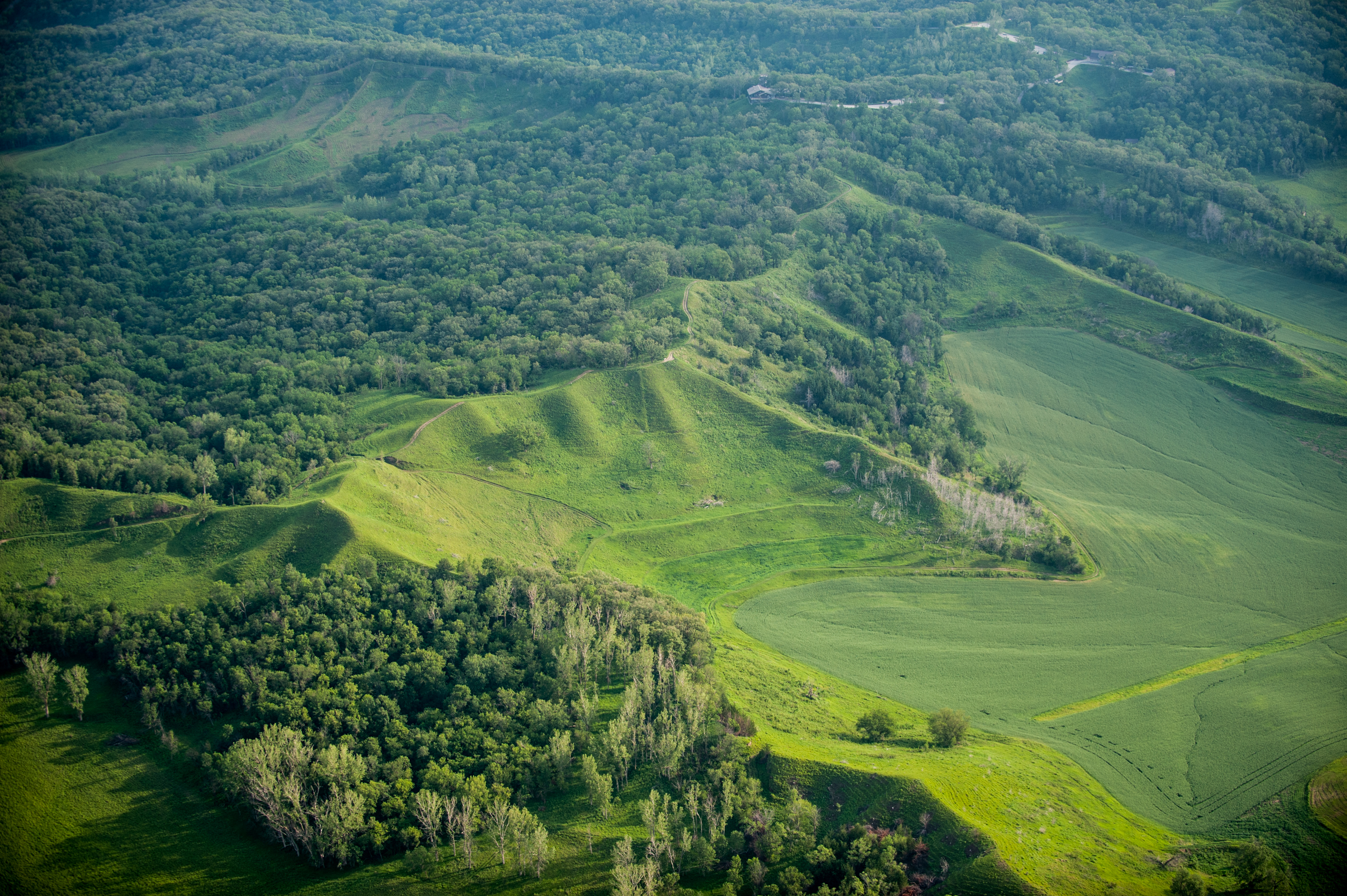 7-1-14-Aerials-4269.jpg