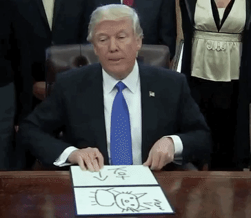 trump-meme-gif-of-kat-and-a-crude-cat-drawing-as-a-proud-executive-order-signing-moment-edit